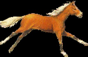 Obrazek